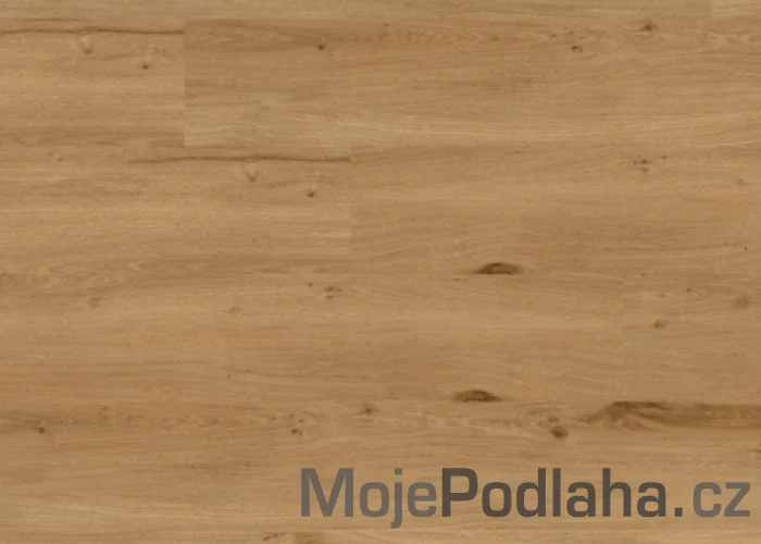 Plovoucí vinylová podlaha Aspecta Penelope XXL Click