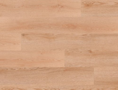 Vinylová podlaha lepená Floor Forever Divino 0,55 mm Dub Iris
