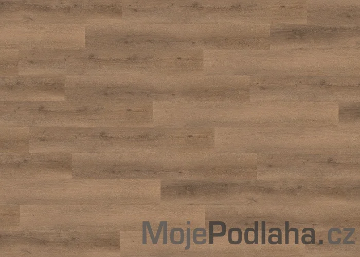 Vinylová podlaha lepená Floor Forever Dub Kartáčovaný Hnědý