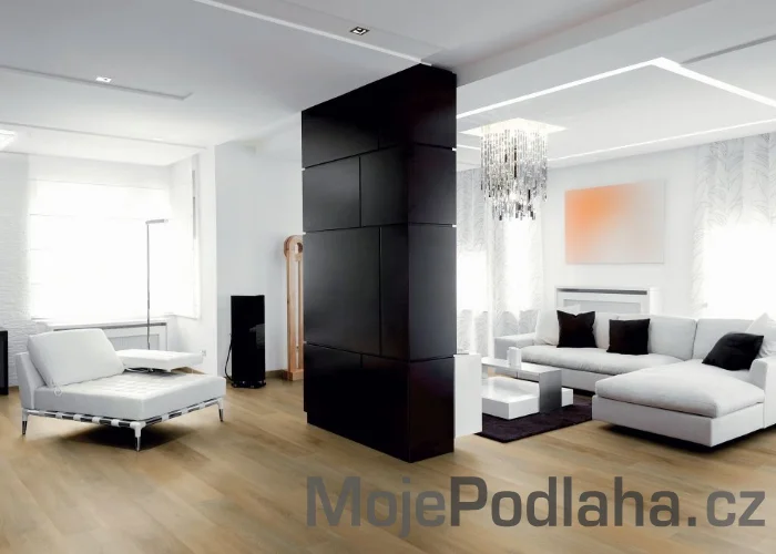 Vinylová podlaha lepená Aspecta Albano