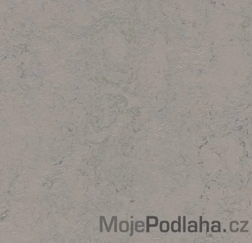 Přírodní linoleum Forbo H79