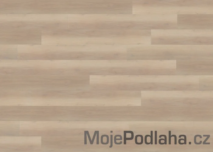 Vinylová podlaha lepená Floor Forever Dub Electra