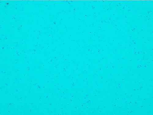 Zátěžová PVC podlaha Gerflor Mipolam BioPlanet Reef Water