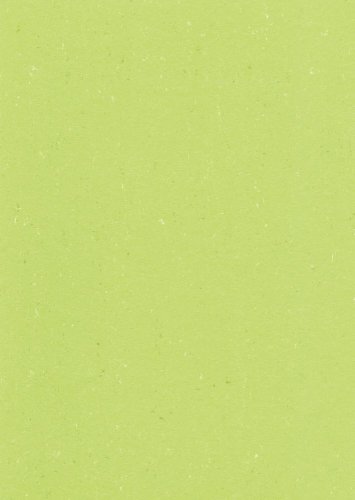 Přírodní linoleum Gerflor DLW Colorette Spicy Green