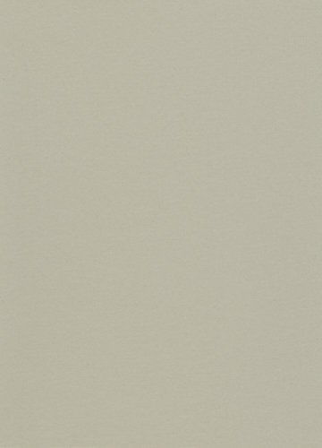 Přírodní linoleum Gerflor DLW Uni Walton Warm Concrete Grey