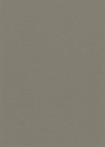 Přírodní linoleum Gerflor DLW Uni Walton Clay Grey