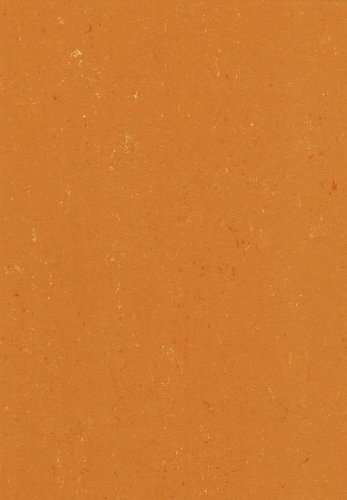Přírodní linoleum Gerflor DLW Colorette Kumquat Orange
