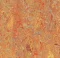 Přírodní linoleum Forbo H22