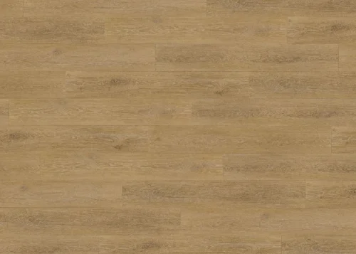 Vinylová podlaha lepená Floor Forever XL 0,4 mm Dub Medový