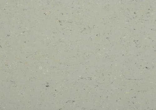 Přírodní linoleum Gerflor DLW Colorette Aluminium Grey