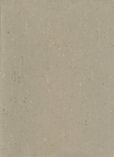 Přírodní linoleum Gerflor DLW Colorette Light Mud
