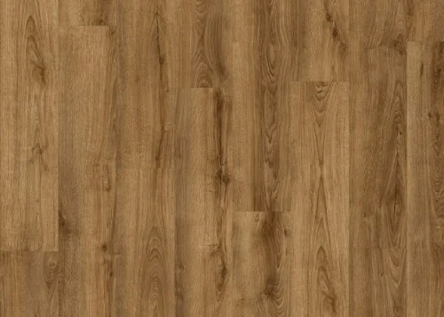 Vinylová podlaha lepenán Floor Forever Divino 0,55 mm Dub Apollon