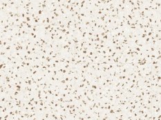 Volně ležící vinyl Gerflor Creation 70 Looselay Chips Terra