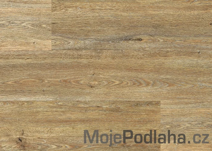 Vinylová podlaha lepená Floor Forever Economy 4003