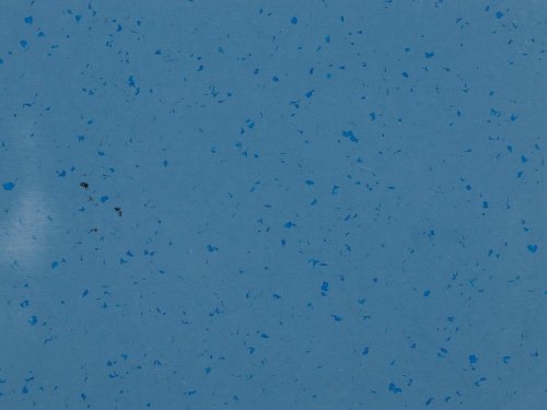Zátěžová PVC podlaha Gerflor Mipolam BioPlanet Blue Nug