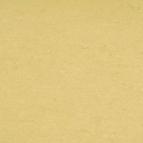 Přírodní linoleum Gerflor DLW Colorette Straw Beige