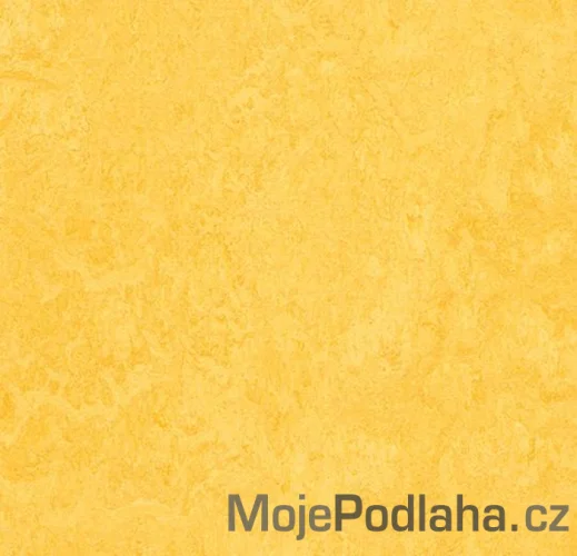 Přírodní linoleum Forbo Marmoleum Home H64