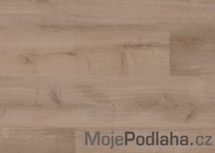 Vinylová podlaha lepená Aspecta Colonial Oak Mauve