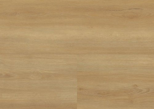 Vinylová podlaha lepená Wineo 800 wood XL Bradford Oak Honey