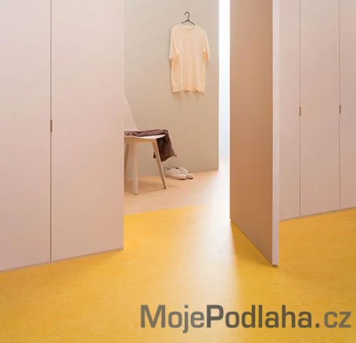 Přírodní linoleum Forbo H64