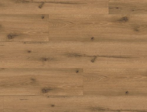 Vinylová podlaha lepená Floor Forever Grandissimo 0,55 Alpine Oak