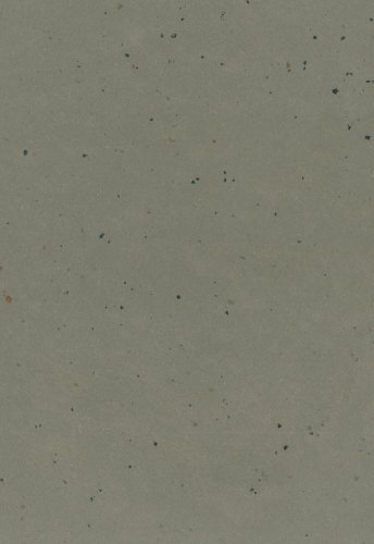 Přírodní linoleum Gerflor DLW Lino Art Moon Shadow