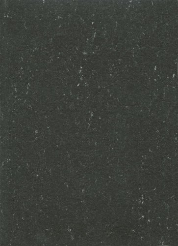 Přírodní linoleum Gerflor DLW Colorette Private Black