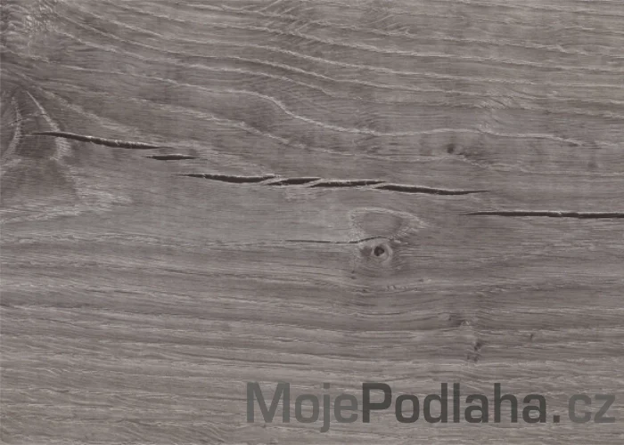 Vinylová podlaha lepená Floor Forever Dub Popelavý