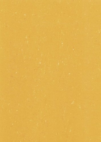 Přírodní linoleum Gerflor DLW Colorette Sunrise Orange