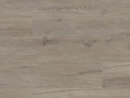 Vinylová podlaha lepená Floor Forever Authentic Oak 0,55 Dub Šlechtický