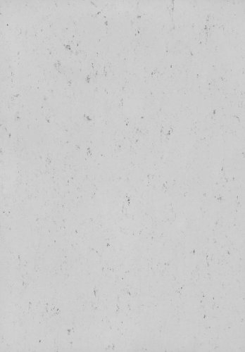 Přírodní linoleum Gerflor DLW Colorette Oxid Grey
