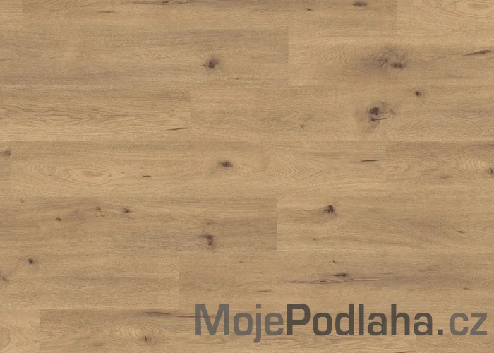 Laminátová podlaha Egger Dub Divoký Přírodní